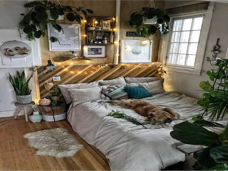 Decor phòng ngủ chill bằng cây xanh