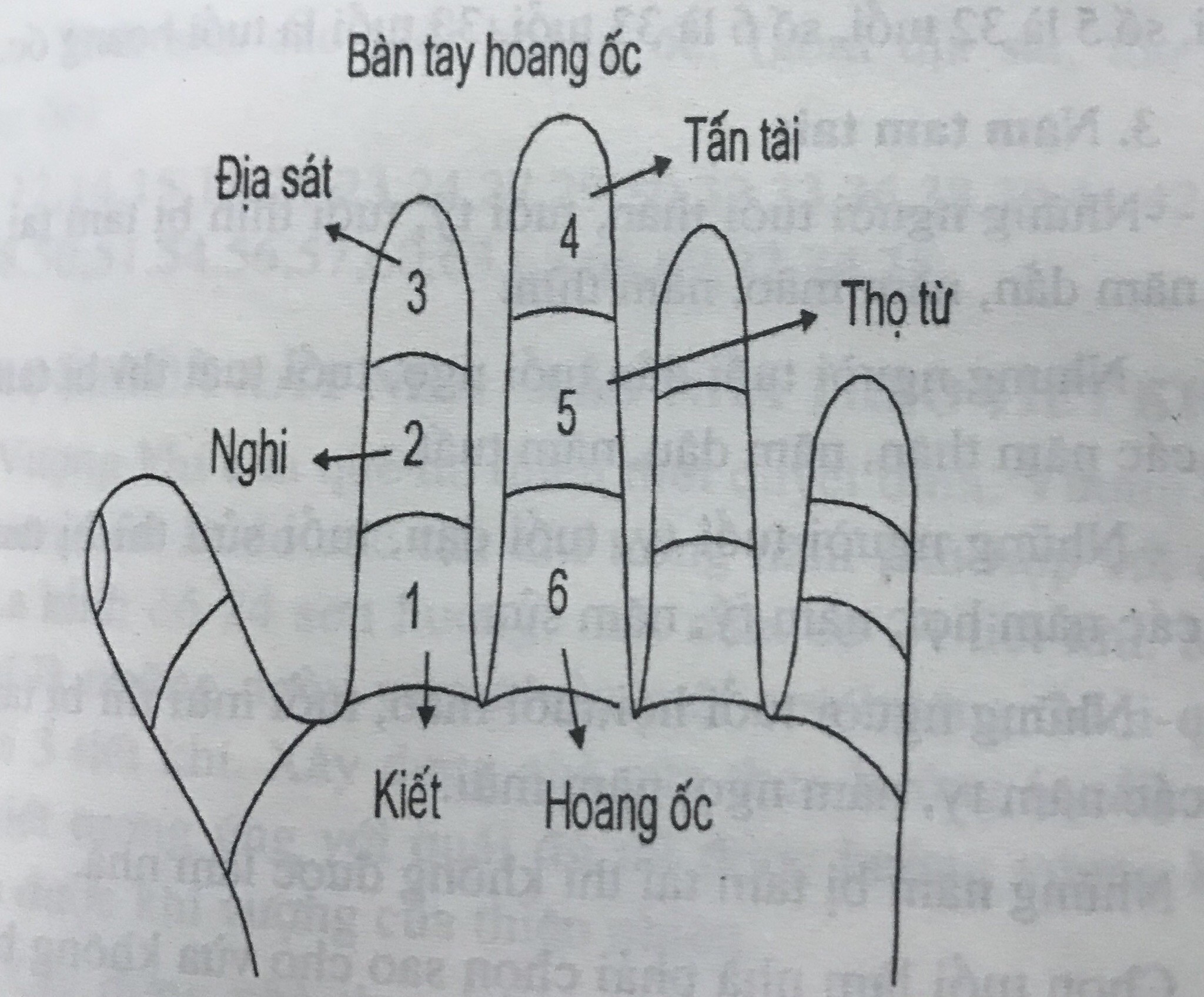 phạm hoang ốc
