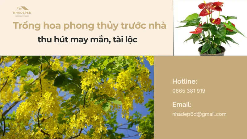 Nên trồng hoa gì trước nhà hợp phong thủy thu hút tài lộc?