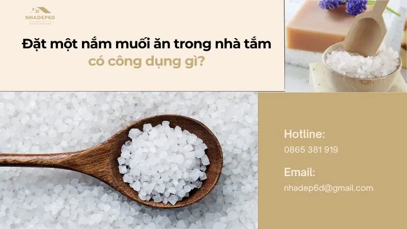 Đặt một nắm muối ăn trong phòng tắm có tác dụng gì?