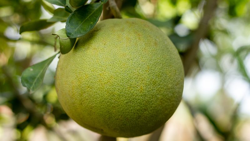 cách xông nhà mới