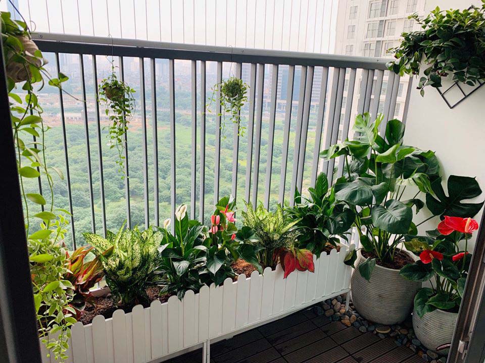  decor ban công chill